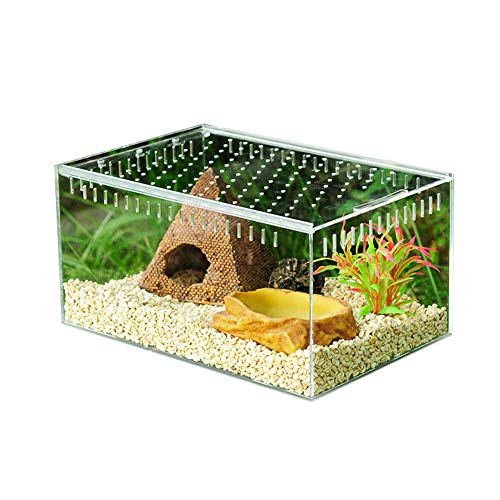 Reptilien Zuchtbox, Transparent Reptil Zuchtbox Acryl Terrarium mit Schiebedeckel Insekten Fütterung Zucht Box Transportbox Fütterungsbox für Spide, Eidechse (10.3x8.3x6cm) von DZAY