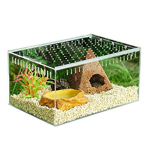 Reptilien Zuchtbox, Transparent Reptil Zuchtbox Acryl Terrarium mit Schiebedeckel Insekten Fütterung Zucht Box Transportbox Fütterungsbox für Spide, Eidechse (20x15x10cm) von DZAY