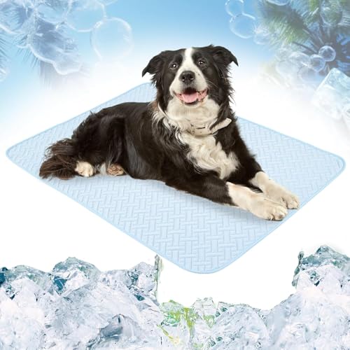 DZHCBNE 1Stück Hundekühlmatte, Haustierkühlmatten, Kühlmatte Für Hunde, Sommerkühlpads Haustiermatte, Langlebig, MaschinenwaschbarTragbare Outdoor-Matte Für Hunde & Katzen, Blau/grau DZHCBNE 1Stück Hundekühlmatte, Haustierkühlmatten, Kühlmatte Für Hunde, Sommerkühlpads Haustiermatte, Langlebig, MaschinenwaschbarTragbare Outdoor-Matte Für Hunde & Katzen, Blau/grau von DZHCBNE