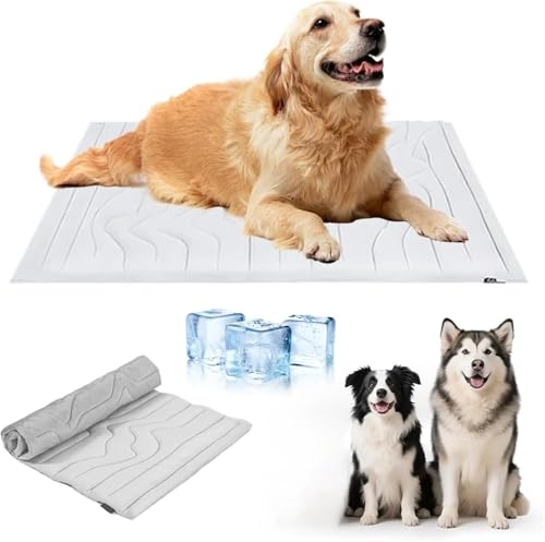 DZHCBNE 1Stück Hundekühlmatte,Haustierkühlmatten, Kühlmatte Für Hunde, Sommerkühlpads Haustiermatte, Langlebig, MaschinenwaschbarTragbare Outdoor-Matte Für Hunde & Katzen, Weiß DZHCBNE 1Stück Hundekühlmatte,Haustierkühlmatten, Kühlmatte Für Hunde, Sommerkühlpads Haustiermatte, Langlebig, MaschinenwaschbarTragbare Outdoor-Matte Für Hunde & Katzen, Weiß von DZHCBNE