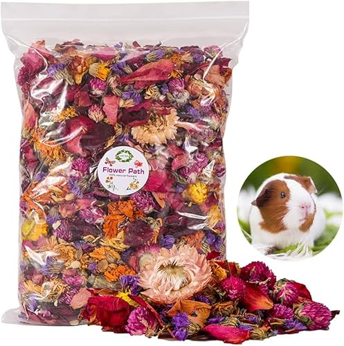 DZWLKJ Natürliche Blume und Kräuter für Hamstereinstreu, 297 g, weiche grüne Kräuter, Hamsterfutter für Lebensraumdekoration, Meerschweinchen-Bettwäsche, Geruchskontrolle für Kaninchen, Rennmäuse von DZWLKJ