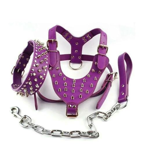 (3-teiliges) Set von Dogs Kingdom Hundegeschirr mit Nieten, Halsbandkette, Lauftraining, verstellbares Hundehalsband aus Leder, Geschirrleine von DaBingDian