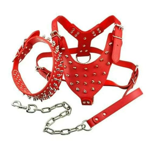 (3-teiliges) Set von Dogs Kingdom Hundegeschirr mit Nieten, Halsbandkette, Lauftraining, verstellbares Hundehalsband aus Leder, Geschirrleine von DaBingDian