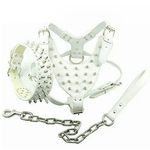 (3-teiliges) Set von Dogs Kingdom Hundegeschirr mit Nieten, Halsbandkette, Lauftraining, verstellbares Hundehalsband aus Leder, Geschirrleine von DaBingDian
