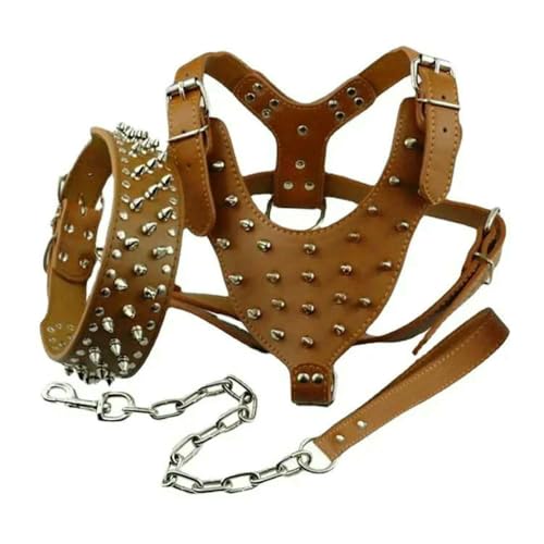 (3-teiliges) Set von Dogs Kingdom Hundegeschirr mit Spikes und Nieten, Halsbandkette, Lauftraining, verstellbares Hundehalsband aus Leder, Geschirrleine von DaBingDian