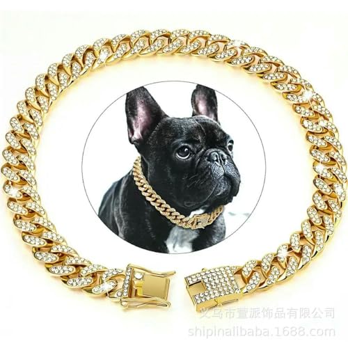 DaBingDian Haustierhalsband Halskette Katze Hund Volldiamant Kubanische Ketten Hundeketten Schlossschnalle Gold Silber Roségold Haustierbedarf DaBingDian Haustierhalsband Halskette Katze Hund Volldiamant Kubanische Ketten Hundeketten Schlossschnalle Gold Silber Roségold Haustierbedarf von DaBingDian