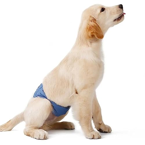 Bauchband Für Männliche Hundewickel, Hochsaugfähige Hundewindeln, Wiederverwendbare Bauchwickel/waschbare Männliche Hundehaustierwindeln Für Erregbare Urininkontinenz,2XL,Blue von DaBoJinGo