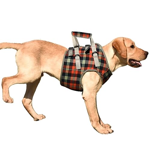 Beinstützgeschirr für Hunde – Hilfsmittel für Rehabilitation und Mobilität – perfekt für behinderte und ältere Hunde,XL,Orange von DaBoJinGo