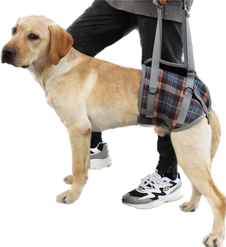 Hunde-Hebegeschirr, Alte Behinderte Gelenkverletzungen, Arthritis-Lähmung, Hunde Gehen, Tragbare Stützschlinge, Ältere Arthritis-ACL-Rehabilitation,XL,Hind Legs Blue von DaBoJinGo