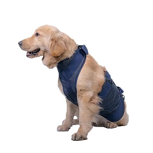 Hundebeinstützgeschirr – Stärken Sie die Mobilität Ihres Haustieres mit Komfort und Pflege,L,Blue von DaBoJinGo