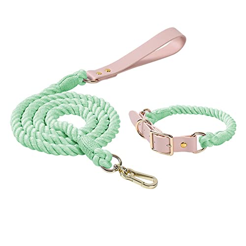 Hundeleine, buntes geflochtenes Seil, Kunstledergriff, Flexible und langlebige Schließe für kleine mittlere und große Hunde,M, Set - Mint Green von DaBoJinGo