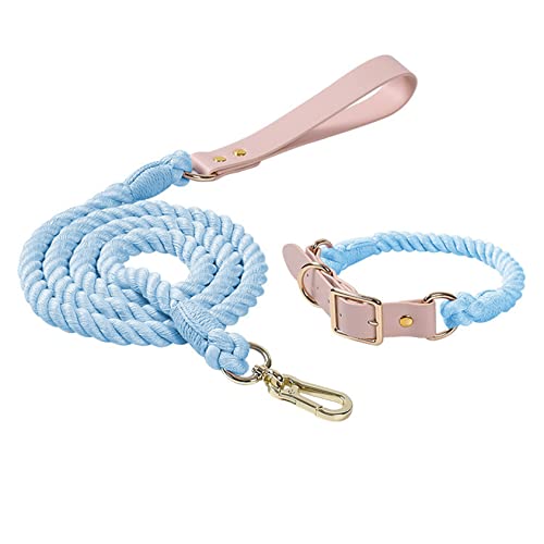 Hundeleine, buntes geflochtenes Seil, Kunstledergriff, Flexible und langlebige Schließe für kleine mittlere und große Hunde,M, Set - Sky Blue von DaBoJinGo