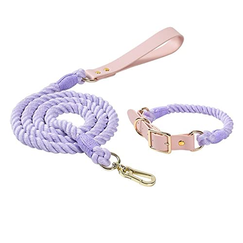 Hundeleine, buntes geflochtenes Seil, Kunstledergriff, Flexible und langlebige Schließe für kleine mittlere und große Hunde,S, Set - Blue Violet von DaBoJinGo