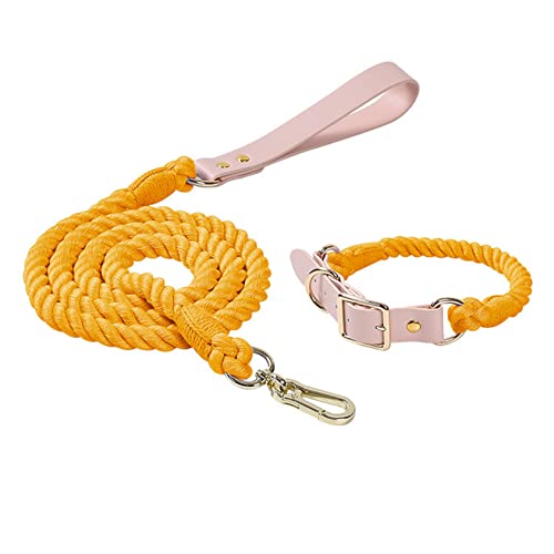 Hundeleine, buntes geflochtenes Seil, Kunstledergriff, Flexible und langlebige Schließe für kleine mittlere und große Hunde,S, Set - Honey orange von DaBoJinGo
