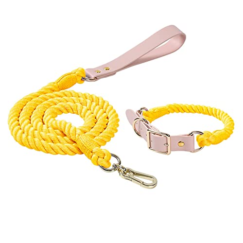 Hundeleine, buntes geflochtenes Seil, Kunstledergriff, Flexible und langlebige Schließe für kleine mittlere und große Hunde,S, Set - Lemon Yellow von DaBoJinGo