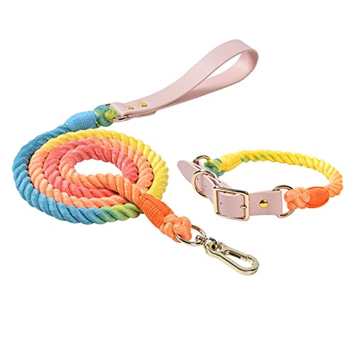 Hundeleine, buntes geflochtenes Seil, Kunstledergriff, Flexible und langlebige Schließe für kleine mittlere und große Hunde,S,Set - Rainbow von DaBoJinGo