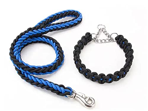 Hundeleine (Leine + Halsband) - Starke, strapazierfähige Hundeleine aus geflochtenem, bequemem Griff für kleine, mittelgroße Hunde,L,F von DaBoJinGo