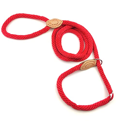 Hundeleine mit Halsband und hochreflektierenden Fäden für kleine mittlere und große Hunde,Diameter 0.8CM x 1.8M,Red von DaBoJinGo