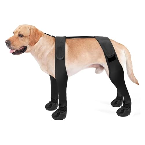 Hundestiefel-Leggings, Verstellbare Hundehose Für Verschneite Wintertage Im Freien, Gummistiefel Für Hunde Mit Leggings, Regenschutz, Hundestiefel, Pfotenschutz,M von DaBoJinGo