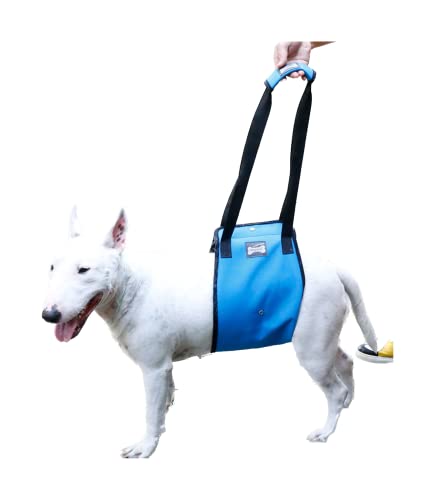 Tragbare Hundeschlinge für Hinterbeine Hüfte, Assistenz Hundetrage, Hundebeinverletzung, Haustier Walker Gürtel, Alter Hund Assistive Walking, Stützgeschirr,L,Blue von DaBoJinGo