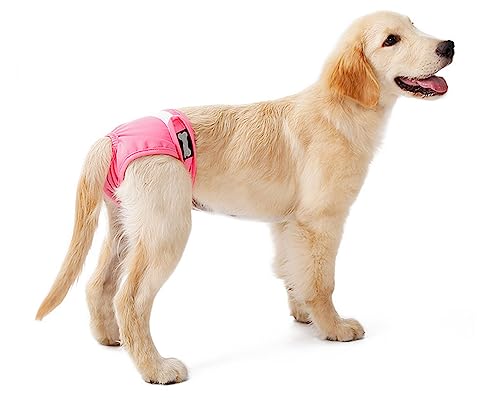 Windeln für Hündinnen, waschbare, Wiederverwendbare Windeln für Hunde, verstellbare Größe, Windeln für Hündinnen bei Haustierinkontinenz, für Hunde in Hitze,XL,Pink von DaBoJinGo