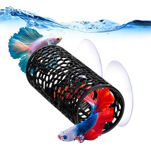 DaToo Betta Fischtunnel, Spielzeug, Aquarium-Dekorationen, Netz-Aquarium-Tunnel für Betta-Fische, Versteck Rohr, Aquariumhöhlen mit kleinen Löchern, Betta-versteckter Unterschlupf für kleine DaToo Betta Fischtunnel, Spielzeug, Aquarium-Dekorationen, Netz-Aquarium-Tunnel für Betta-Fische, Versteck Rohr, Aquariumhöhlen mit kleinen Löchern, Betta-versteckter Unterschlupf für kleine von DaToo