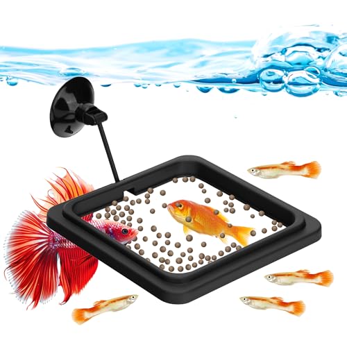 DaToo Fisch-Futterring für Aquarium, quadratisch, schwimmend, mit starkem Saugnapf, Futterring für Betta-Goldfische, Guppy-Fische von DaToo