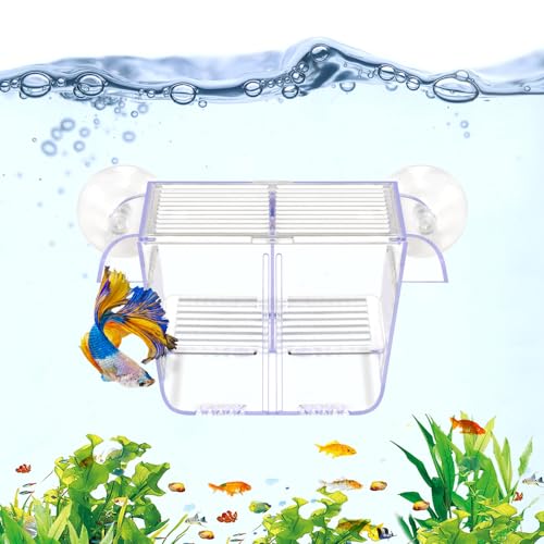DaToo Fischzuchtbox Aquarium Haltetank Transparent Fisch Isolation Box Akklimatisierung Brutkasten Brutkasten für Babyfische Betta Garnelen Clownfisch Guppy Klein von DaToo