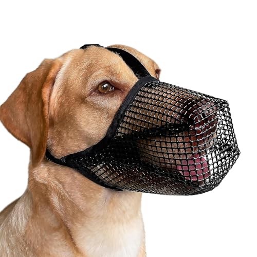 Maulkorb für Hunde Nylon Maulkorb Mittlere Hunde Maulkorb für Einstellbar Weicher Netz Giftköderschutz Hund Atmungsaktiv Geeignet zur Vorbeugung von Beißen,Kauen und Bellen(L) von DabbOo