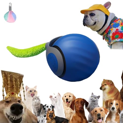 DabinFa Speedy Tail Katzenspielzeug, Speedy Tail 2.0, interaktives Katzenspielzeug für drinnen und draußen, USB, wiederaufladbar, Smart Cat Toys Ball, zwei Geschwindigkeiten, mit Ersatz-Tail (Blau x 1 von DabinFa