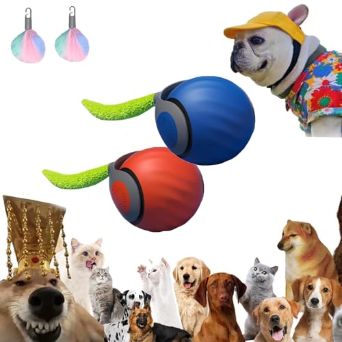 DabinFa Speedy Tail Katzenspielzeug, Speedy Tail 2.0, interaktives Katzenspielzeug für drinnen und draußen, USB, wiederaufladbar, Smart Cat Toys Ball, zwei Geschwindigkeitseinstellungen, mit DabinFa Speedy Tail Katzenspielzeug, Speedy Tail 2.0, interaktives Katzenspielzeug für drinnen und draußen, USB, wiederaufladbar, Smart Cat Toys Ball, zwei Geschwindigkeitseinstellungen, mit von DabinFa
