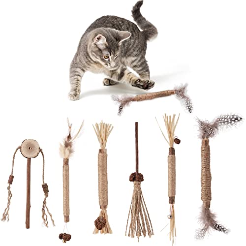 Dacitiery 6 Stück Katzenminze Sticks,Kaustäbchen für Katzen,Katzenspielzeug für die Zahnreinigung der Katze, Katzenminze-Sticks für den Innenbereich von Katzen,Kätzchen von Dacitiery