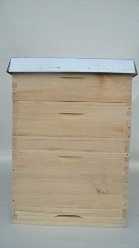 Dadant Bienenbeute US 12er Beute mit 36 Rähmchen,Weymouthskiefer Dadant Bienenbeute US 12er Beute mit 36 Rähmchen,Weymouthskiefer von Dadant US