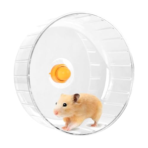 Laufrad Hamster Leise Spinner, Hamsterrad 21 cm, Hamster Spinner, Hamstertrainingsrad, Leise Hamsters Spielzeug Transparent, Hamsters Rad Kunststoff für Chinchillas Eichhörnchen Rennmäuse von Daelesr