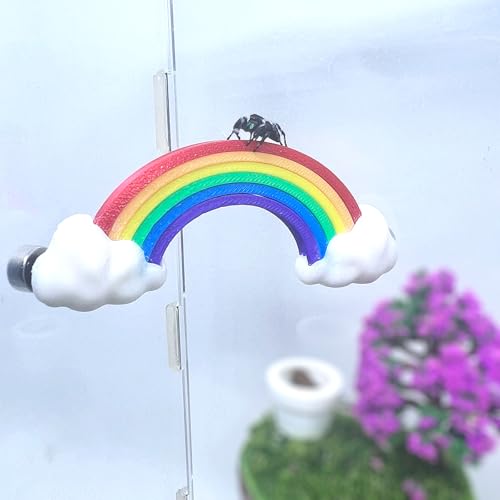 Daerky Springende Spinne Versteckte Regenbogenbrücke, Magnetische Springspinne Wolke Regenbogen Plattform, 3D-gedruckte Spinne Klettern Zaun Zubehör, Geeignet für alle Arten von kleinen Daerky Springende Spinne Versteckte Regenbogenbrücke, Magnetische Springspinne Wolke Regenbogen Plattform, 3D-gedruckte Spinne Klettern Zaun Zubehör, Geeignet für alle Arten von kleinen von Daerky