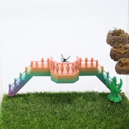 Daerky Springende Spinnentreppe, magnetisch, versteckt, springende Spinne, Lebensraum, Spinnenspringen, Kletterplattform für kleines Reptiliengehege, dekoratives Zubehör (Farbverlauf, Daerky Springende Spinnentreppe, magnetisch, versteckt, springende Spinne, Lebensraum, Spinnenspringen, Kletterplattform für kleines Reptiliengehege, dekoratives Zubehör (Farbverlauf, von Daerky