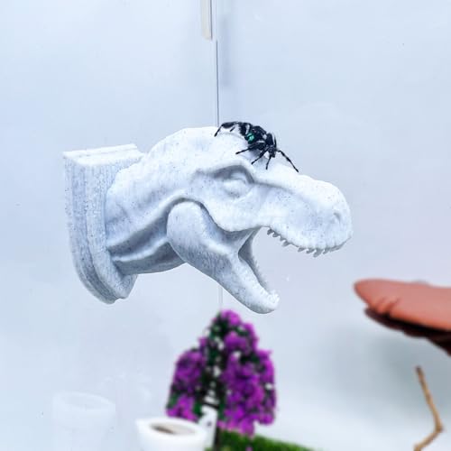 Daerky Springendes Spinnen-Versteck, 3D-gedruckter Dinosaurierkopf – ein lustiger Lebensraum für springende Spinnen, kleine Reptilien und kleine Haustiere, geeignet als Heimdekoration mit Tiergehegen Daerky Springendes Spinnen-Versteck, 3D-gedruckter Dinosaurierkopf – ein lustiger Lebensraum für springende Spinnen, kleine Reptilien und kleine Haustiere, geeignet als Heimdekoration mit Tiergehegen von Daerky