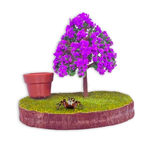 Daerky Springspinnen-Wandhalterung, mit magnetisch verdecktem Lebensraum für springende Spinnen, eine handgefertigte Kletter- und Fütterungsplattform für springende Spinnen, Gehege-Zubehör für kleine Daerky Springspinnen-Wandhalterung, mit magnetisch verdecktem Lebensraum für springende Spinnen, eine handgefertigte Kletter- und Fütterungsplattform für springende Spinnen, Gehege-Zubehör für kleine von Daerky
