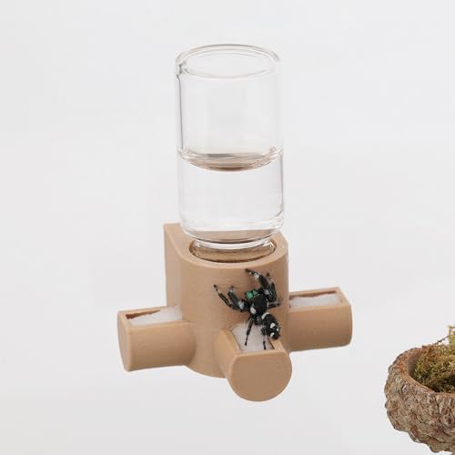 Daerky Springspinnen-Wasserspender, magnetischer Futterspender zum Aufhängen, geeignet für Springspinnen, Vogelspinnen, Beteranterinnen, Baumtiere und anderes Zubehör für Kleintiergehege, 5 ml (Holz) Daerky Springspinnen-Wasserspender, magnetischer Futterspender zum Aufhängen, geeignet für Springspinnen, Vogelspinnen, Beteranterinnen, Baumtiere und anderes Zubehör für Kleintiergehege, 5 ml (Holz) von Daerky