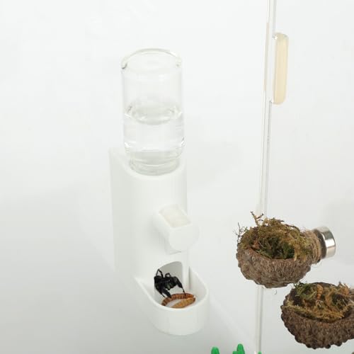 Daerky Wasserspender für kleine Tiere, magnetischer Futterspender zum Aufhängen und versteckte Höhle – Zubehör für springende Spinnen, Wolfspinnen, Mantisen, Baumtiere und andere kleine Kreaturen – 5 Daerky Wasserspender für kleine Tiere, magnetischer Futterspender zum Aufhängen und versteckte Höhle – Zubehör für springende Spinnen, Wolfspinnen, Mantisen, Baumtiere und andere kleine Kreaturen – 5 von Daerky