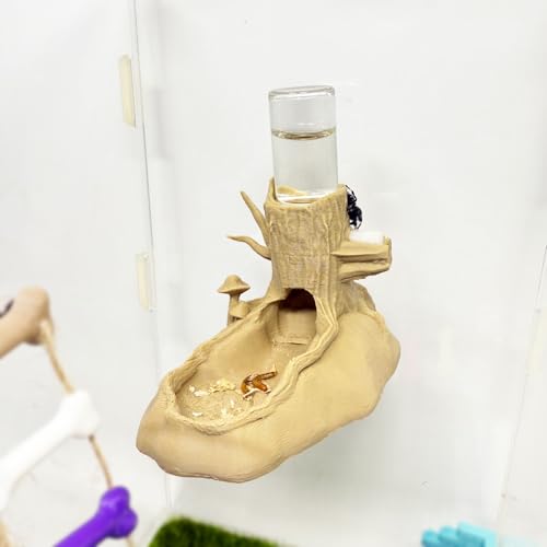 Springende Spinne Wasserspender, springende Spinne Versteck Magnetischer Wasserspender zum Aufhängen und versteckte Höhle, Zaunzubehör für kleine Tiere wie springende Spinnen, Baumtiere usw Springende Spinne Wasserspender, springende Spinne Versteck Magnetischer Wasserspender zum Aufhängen und versteckte Höhle, Zaunzubehör für kleine Tiere wie springende Spinnen, Baumtiere usw von Daerky