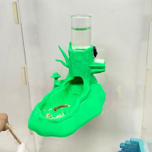 Springende Spinne Wasserspender, springende Spinne Versteck Magnetischer hängender Wasserspender und versteckte Höhle, Zaunzubehör für kleine Tiere wie springende Spinnen, Baumtiere usw. (Grün) von Daerky