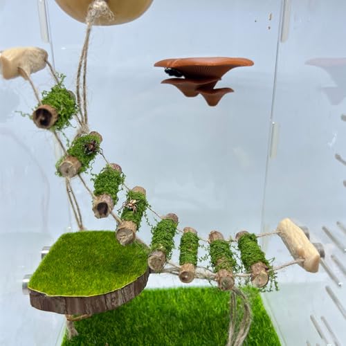 Springende Spinnenseilbrücke, eine Kletterbrücke aus Massivholz, EIN Springspinnengehege, handgefertigt, eine Spinnensprungplattform, als dekoratives Zubehör für kleine Reptiliengehege verwendet Springende Spinnenseilbrücke, eine Kletterbrücke aus Massivholz, EIN Springspinnengehege, handgefertigt, eine Spinnensprungplattform, als dekoratives Zubehör für kleine Reptiliengehege verwendet von Daerky