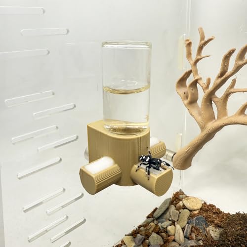 Springspinnen-Wasserspender, magnetischer Futterspender zum Aufhängen, geeignet für Springspinnen, Vogelspinnen, Beteranterinnen, Baumtiere und anderes Zubehör für Kleintiergehege (Holzfarbe, 10 ml) Springspinnen-Wasserspender, magnetischer Futterspender zum Aufhängen, geeignet für Springspinnen, Vogelspinnen, Beteranterinnen, Baumtiere und anderes Zubehör für Kleintiergehege (Holzfarbe, 10 ml) von Daerky