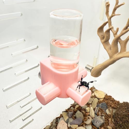 Springspinnen-Wasserspender, magnetischer Futterspender zum Aufhängen, geeignet für Springspinnen, Vogelspinnen, Beteranterinnen, Baumtiere und anderes Zubehör für Kleintiergehege (Rosa, 10 ml) von Daerky