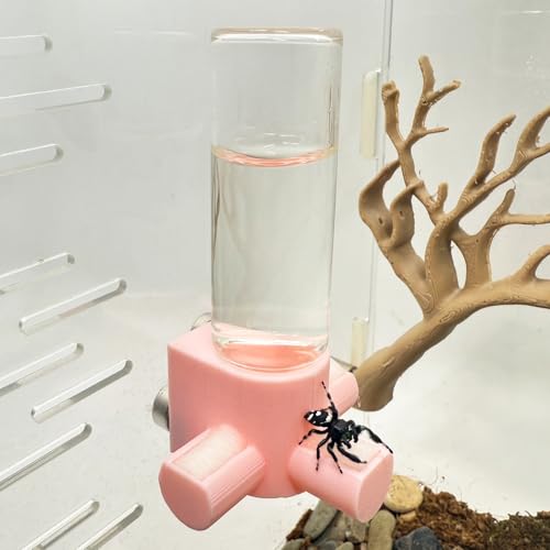 Springspinnen-Wasserspender, magnetischer Futterspender zum Aufhängen, geeignet für Springspinnen, Vogelspinnen, Beteranterinnen, Baumtiere und anderes Zubehör für Kleintiergehege (Rosa, 15 ml) von Daerky