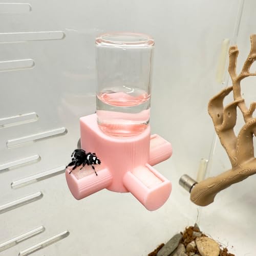 Springspinnen-Wasserspender, magnetischer Futterspender zum Aufhängen, geeignet für Springspinnen, Vogelspinnen, Beteranterinnen, Baumtiere und anderes Zubehör für Kleintiergehege (Rosa, 5 ml) von Daerky