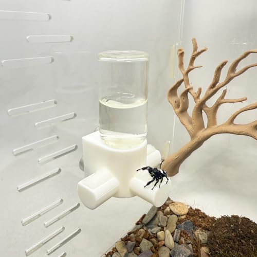 Springspinnen-Wasserspender, magnetischer Futterspender zum Aufhängen, geeignet für Springspinnen, Vogelspinnen, Beteranterinnen, Baumtiere und anderes Zubehör für Kleintiergehege (Weiß, 10 ml) von Daerky