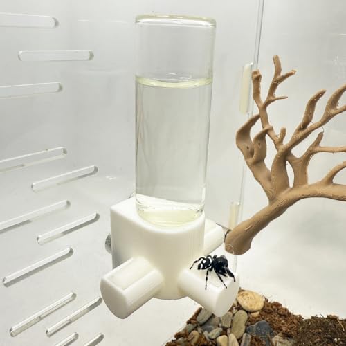 Springspinnen-Wasserspender, magnetischer Futterspender zum Aufhängen, geeignet für Springspinnen, Vogelspinnen, Beteranterinnen, Baumtiere und anderes Zubehör für Kleintiergehege (Weiß, 15 ml) von Daerky