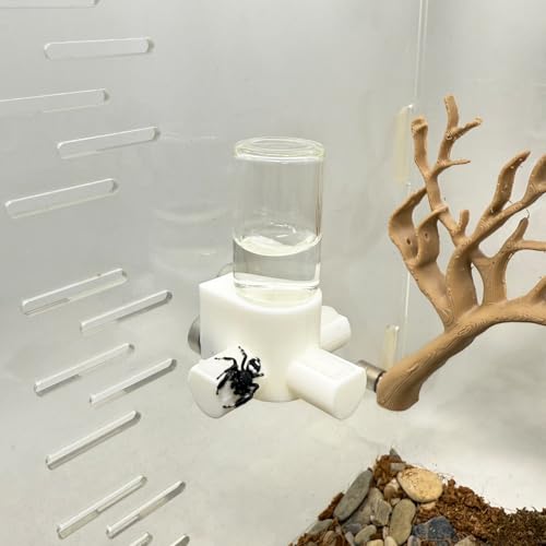 Springspinnen-Wasserspender, magnetischer Futterspender zum Aufhängen, geeignet für Springspinnen, Vogelspinnen, Beteranterinnen, Baumtiere und anderes Zubehör für Kleintiergehege (Weiß, 5 ml) von Daerky